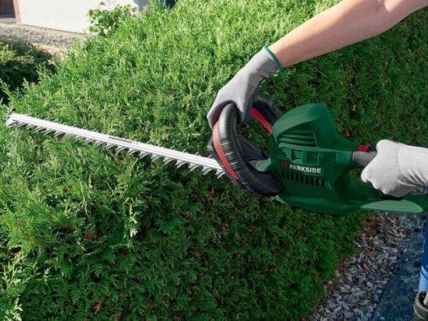 Elektrické nůžky na živý plot Parkside® 650W - Image 2